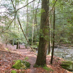 Koomer Ridge Trail